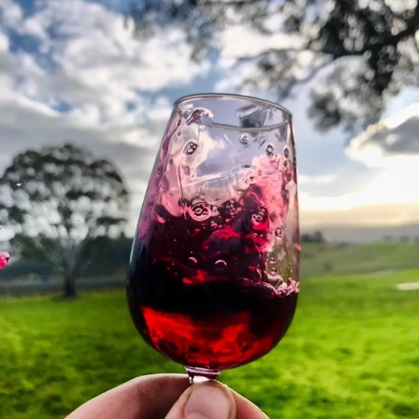 La Cantina King Valley — 9번째 사진