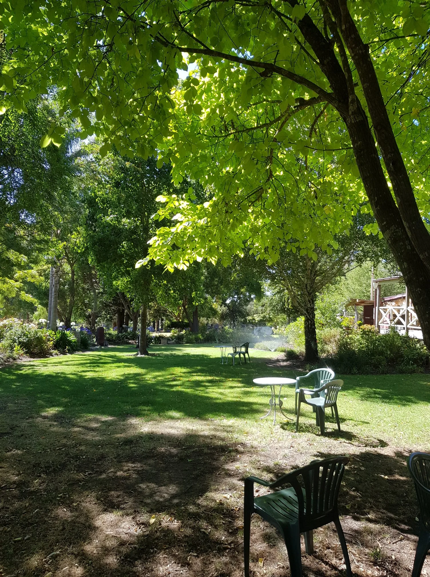 Magpie Springs — 15번째 사진