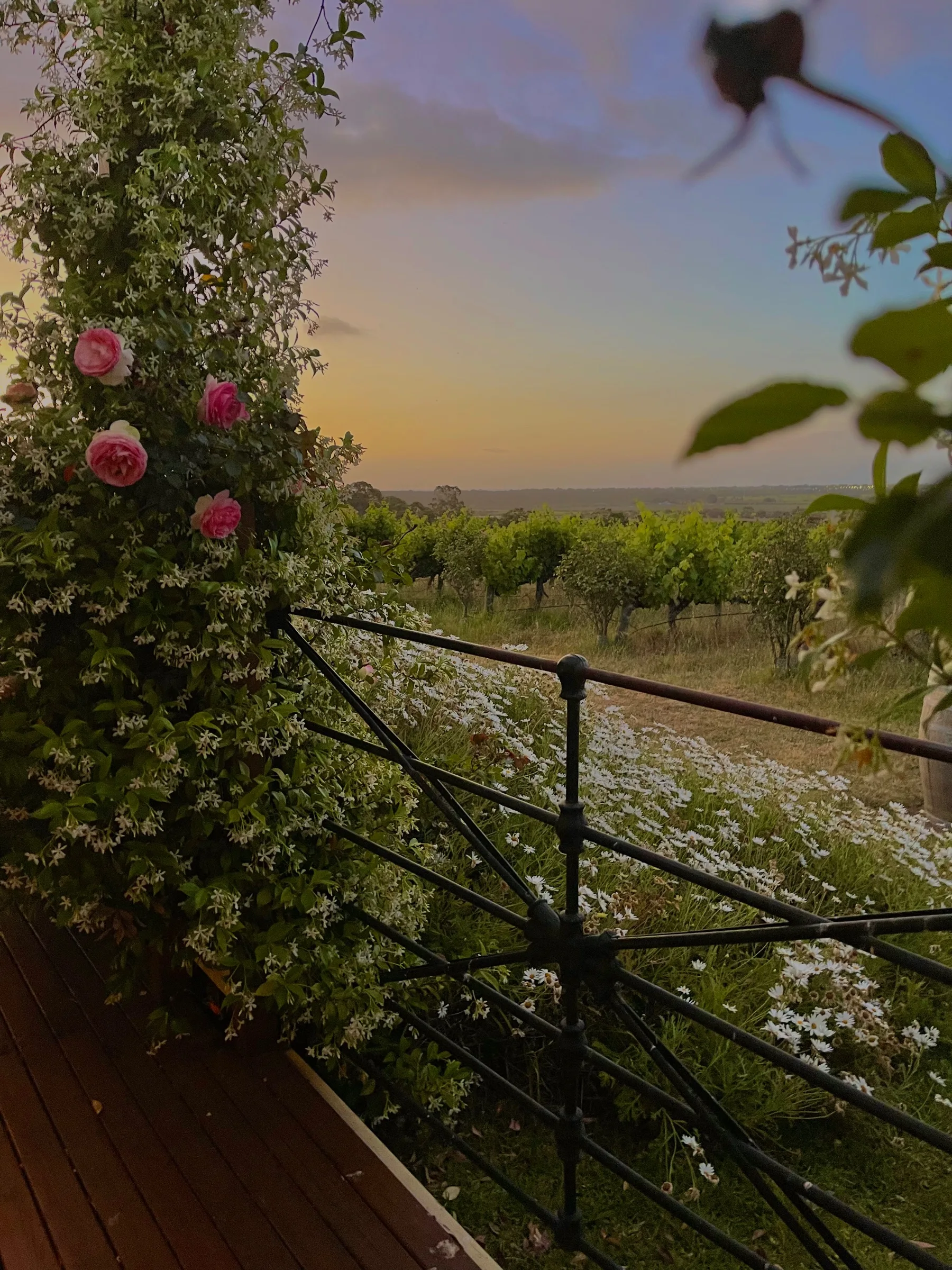 Sellicks Chills Vineyard Retreats - The Elephant Door — photo 7