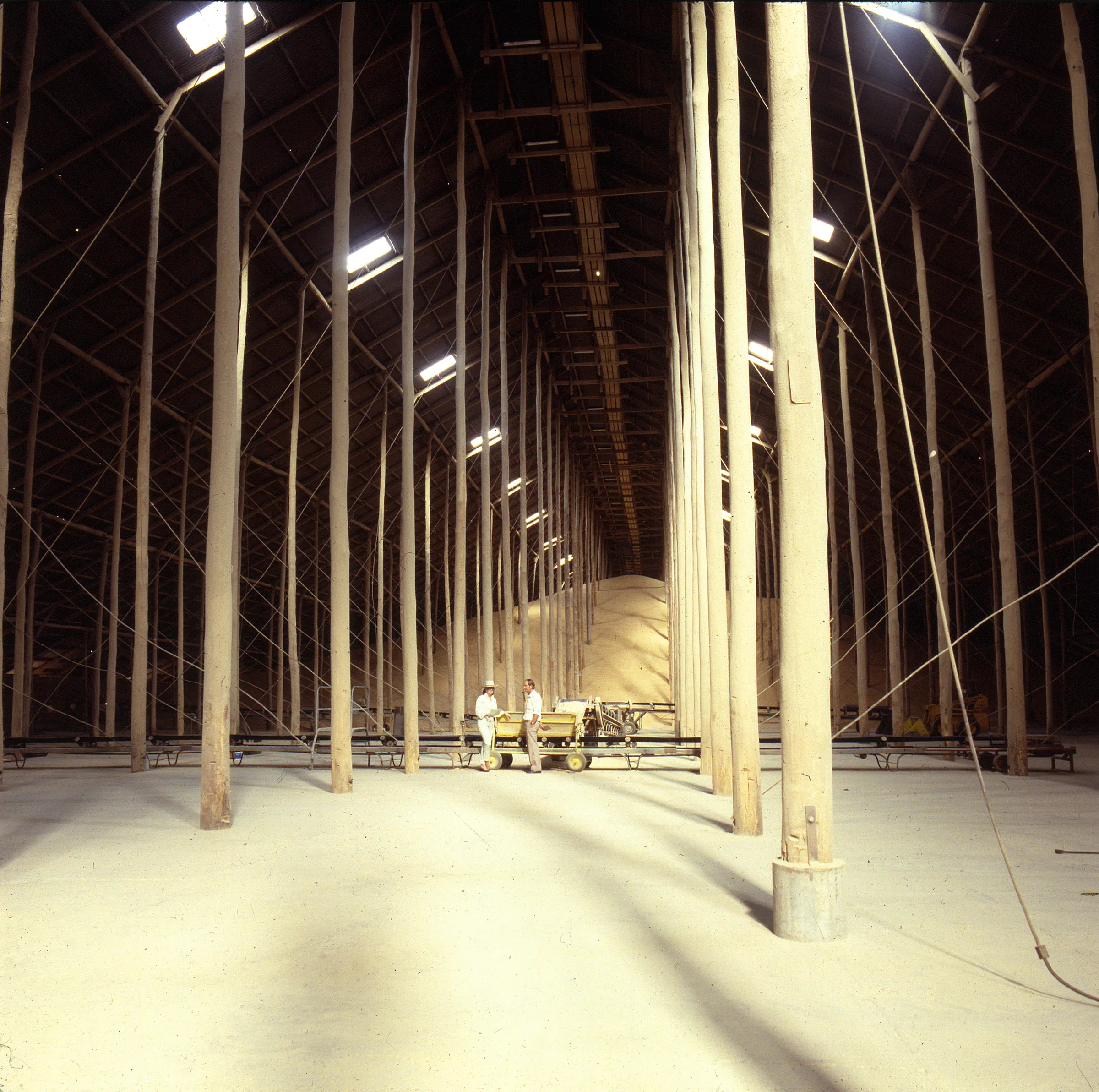 Murtoa Stick Shed — photo 5