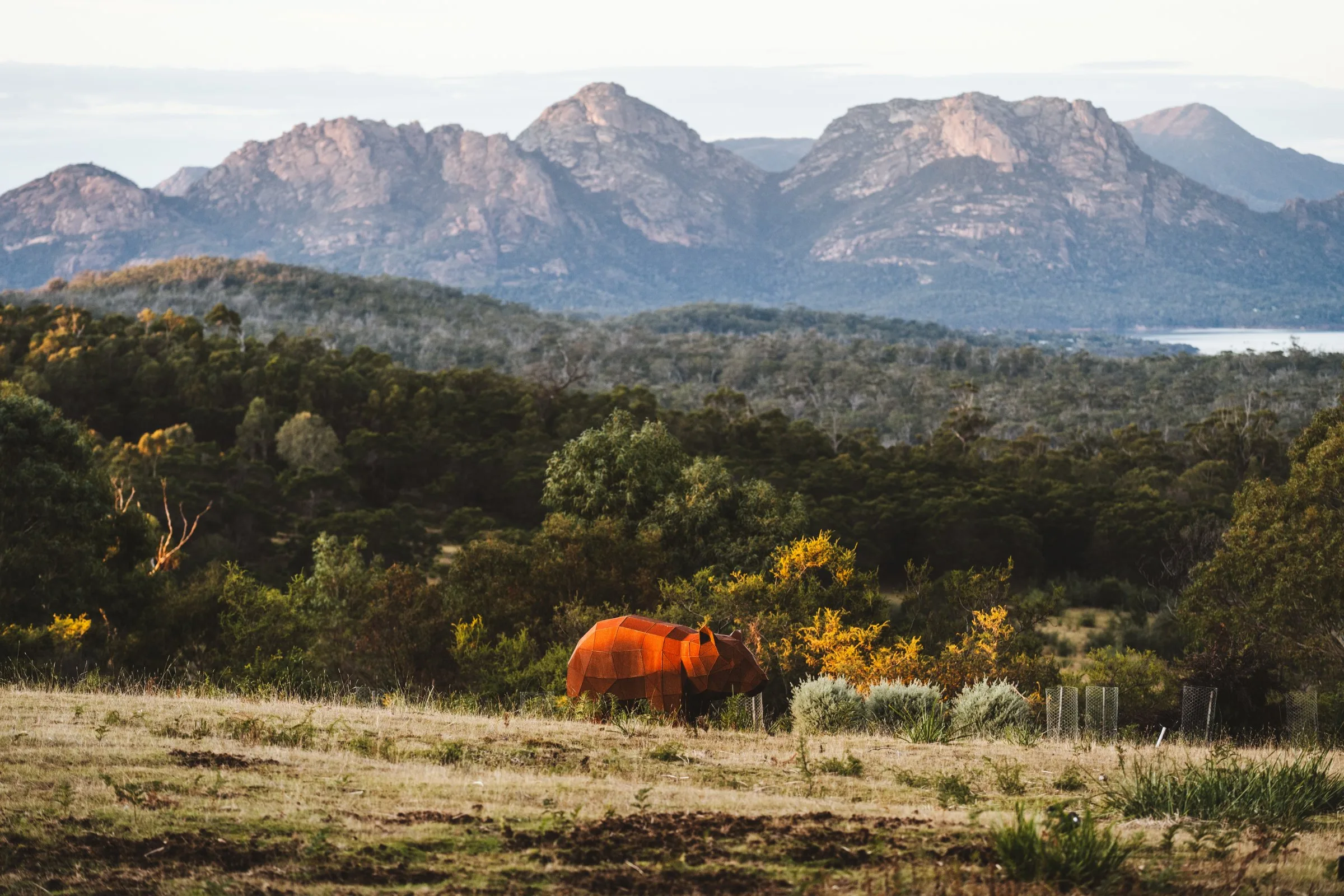 Freycinet Resort — photo 4