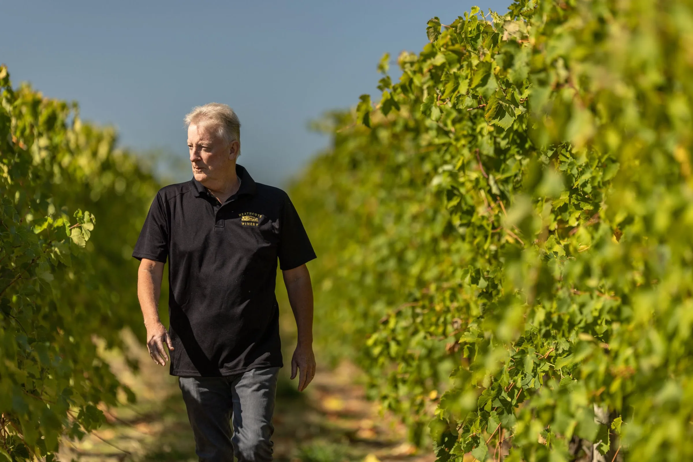 Heathcote Winery — 3번째 사진