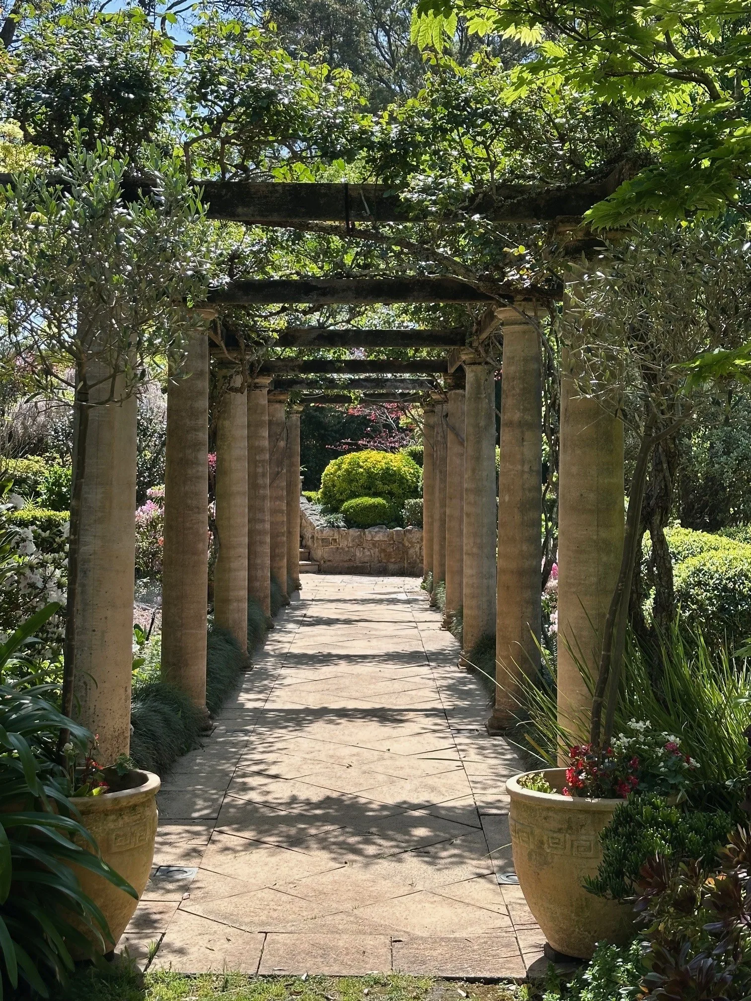 guestlands — 第 12 张照片