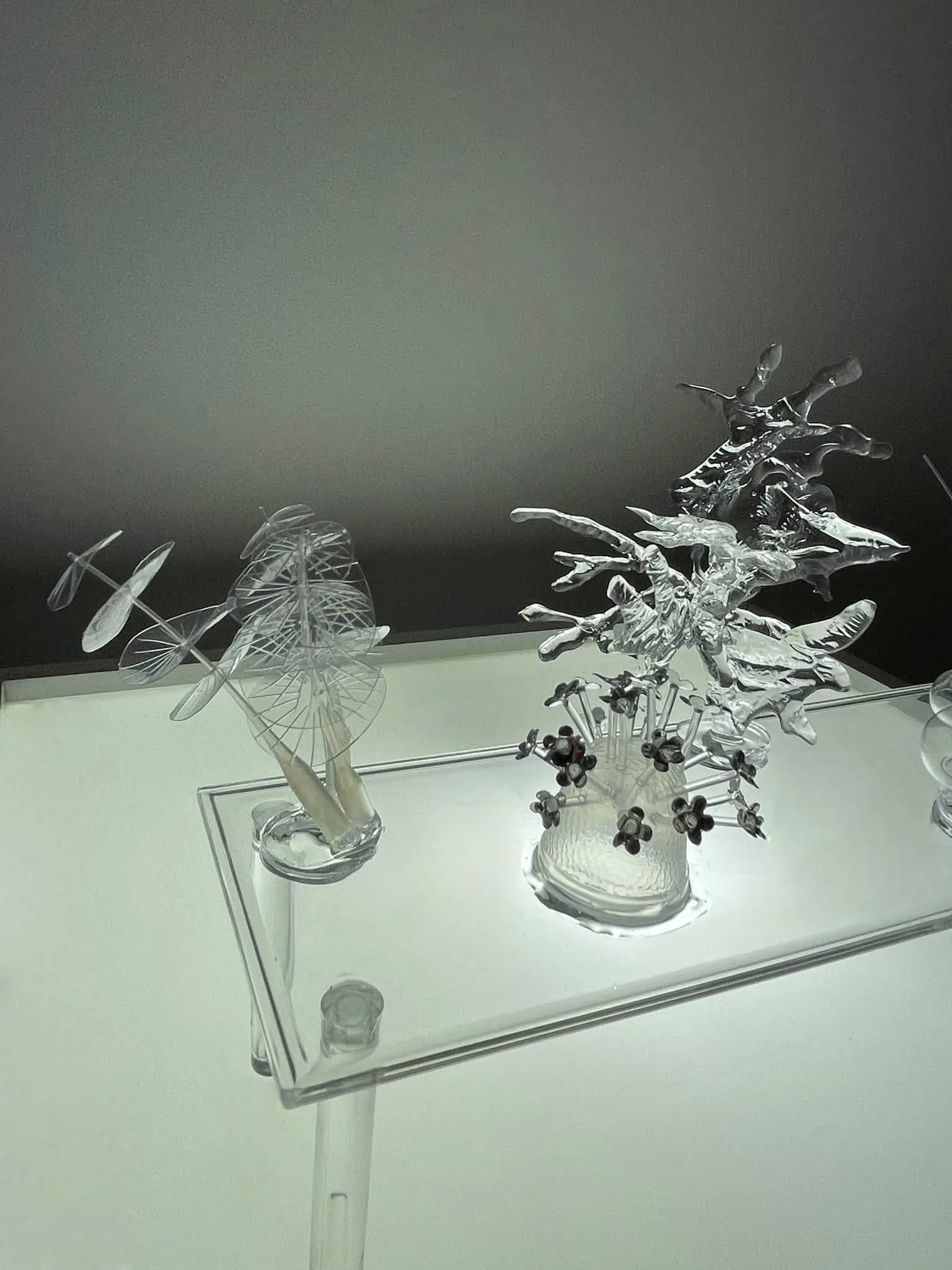 Sawtell Art Gallery — photo 3