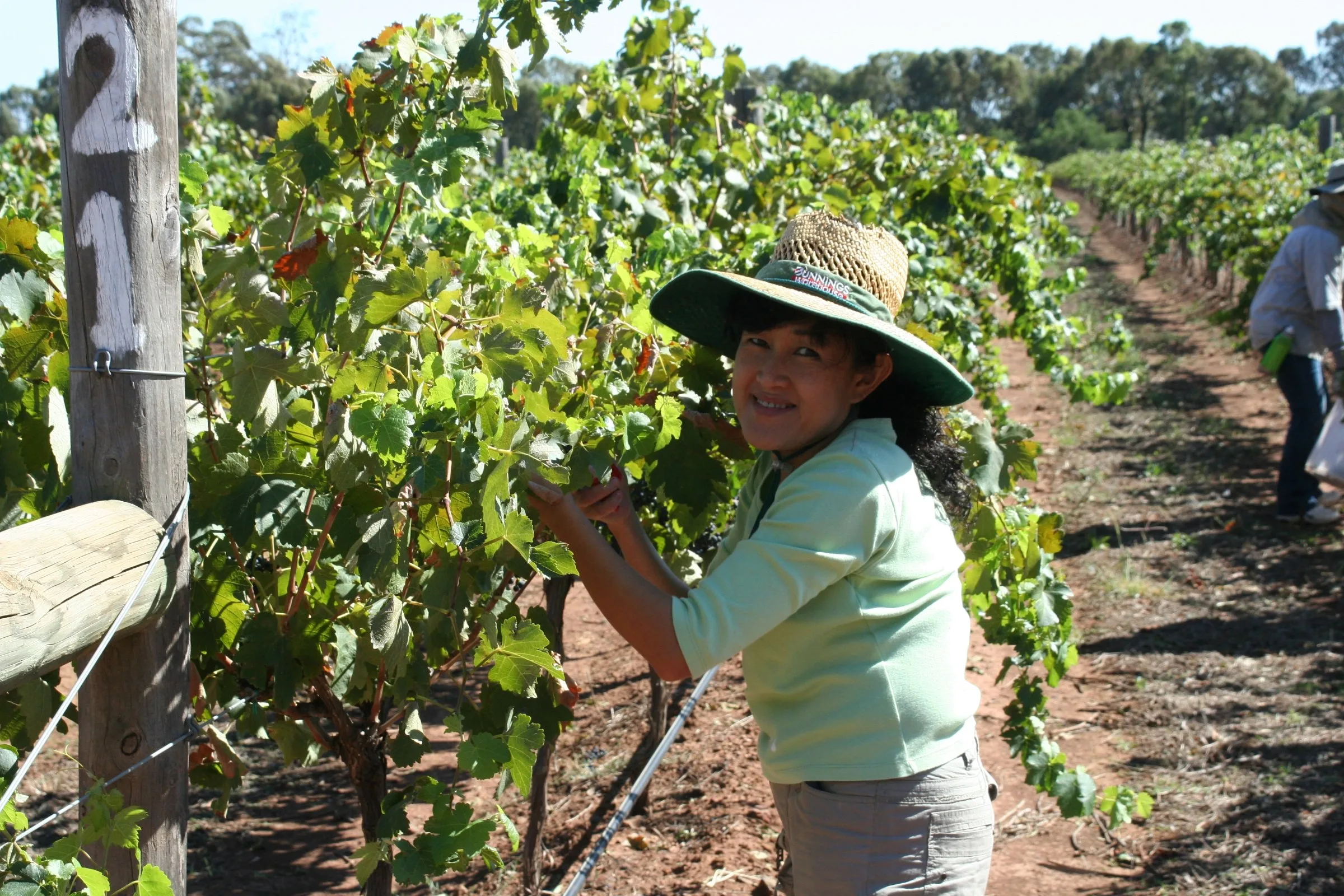 Domaine Asmara — photo 3