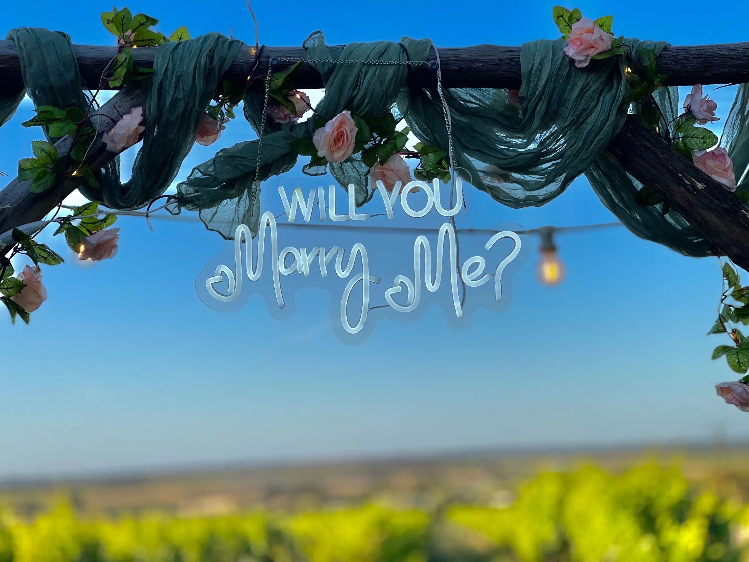 Sellicks Chills Vineyard Retreats - The Elephant Door — photo 3