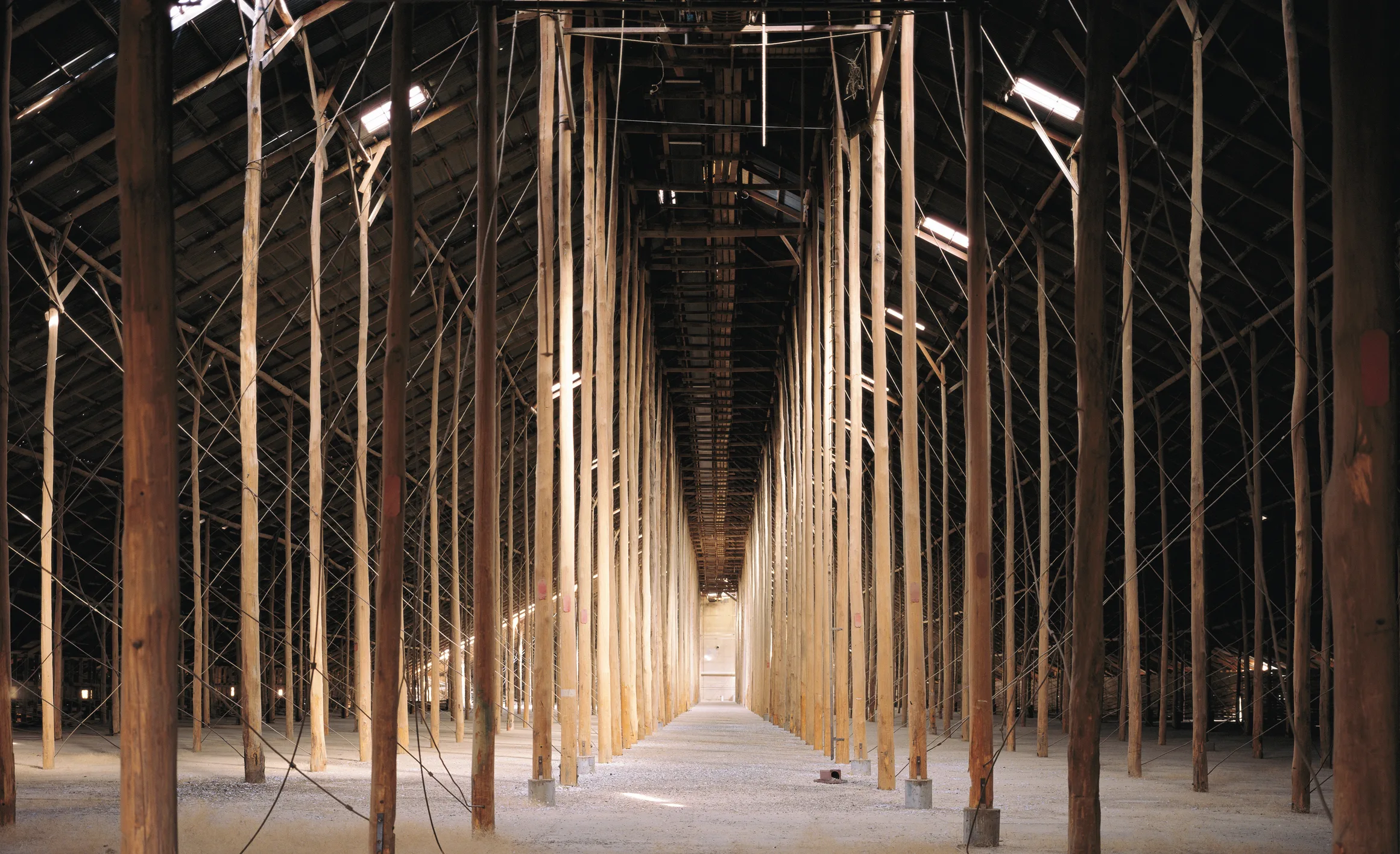 Murtoa Stick Shed — photo 2