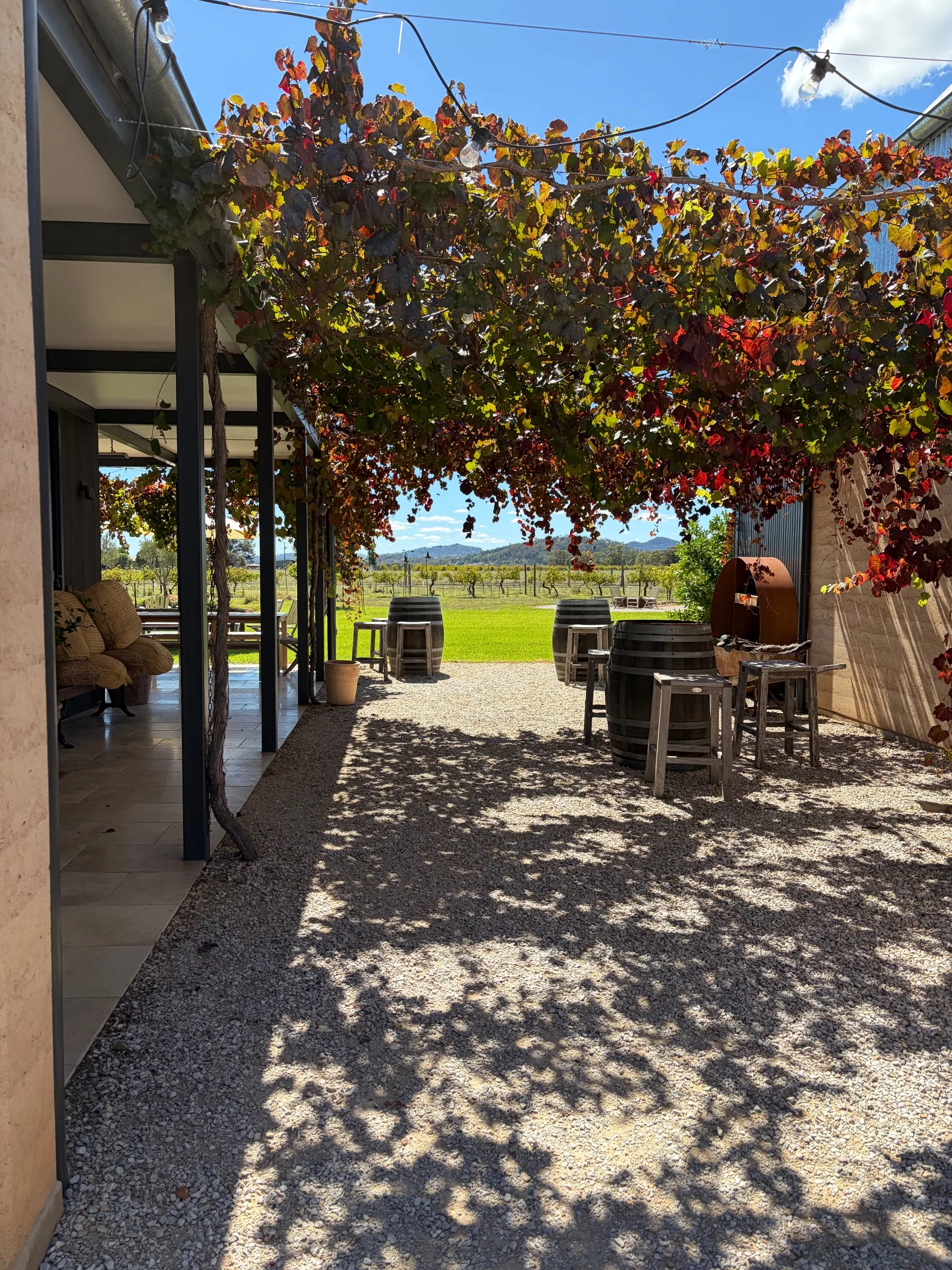 Wine n' Vines Mudgee