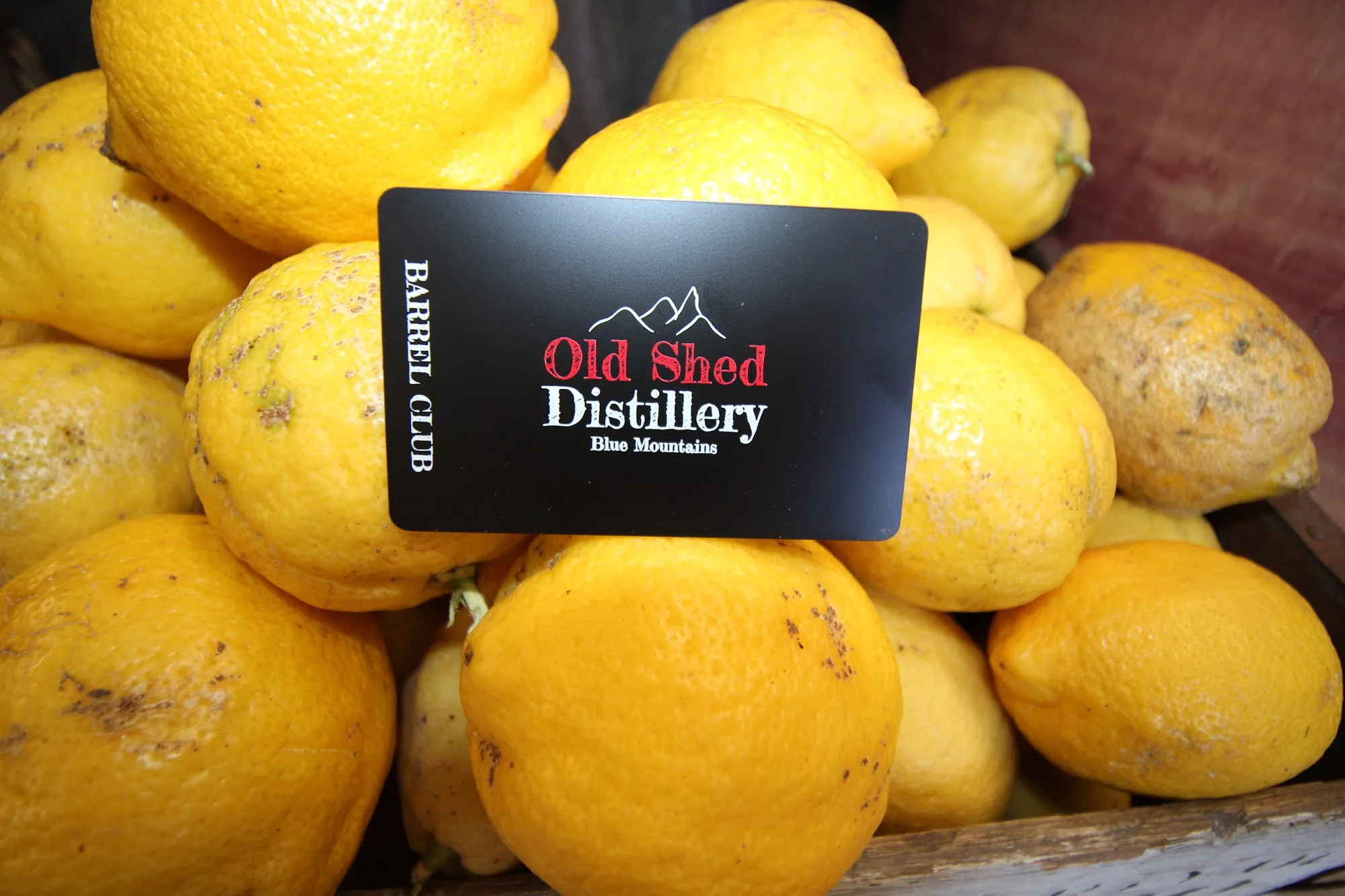 Old Shed Distillery Blue Mountains — photo 9