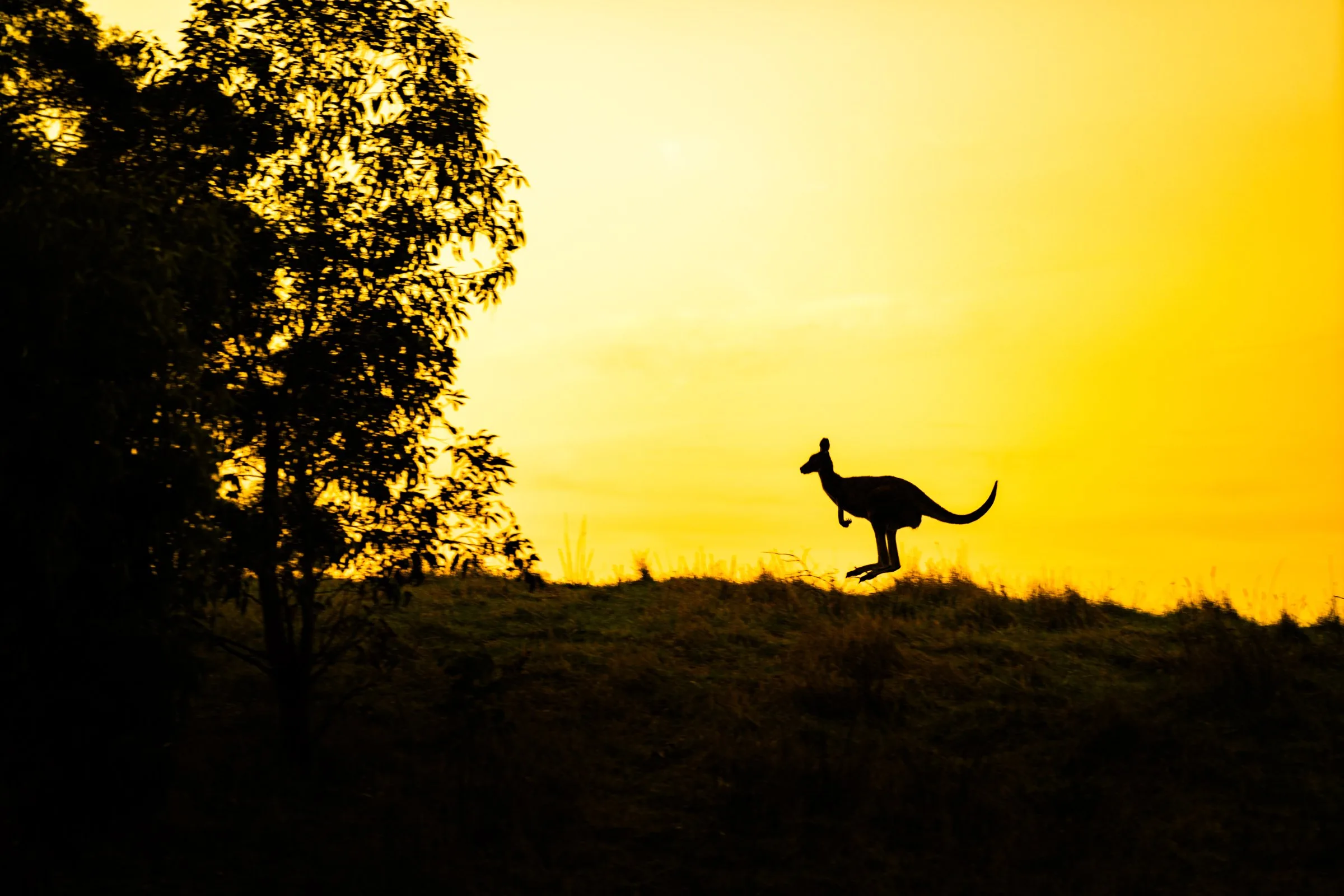 Willunga Ridge Boutique Accommodation — 7번째 사진