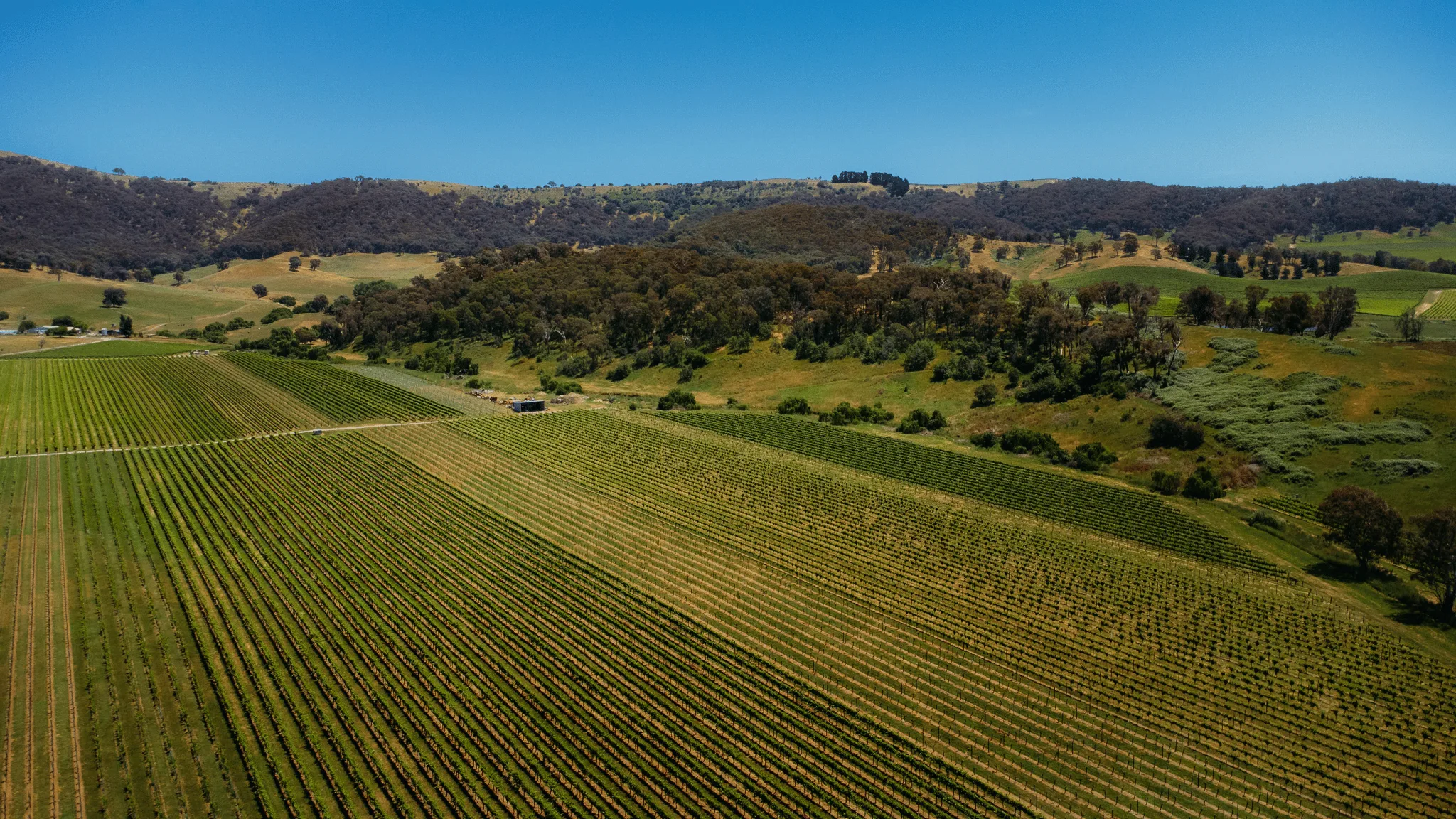 La Cantina King Valley — 8번째 사진