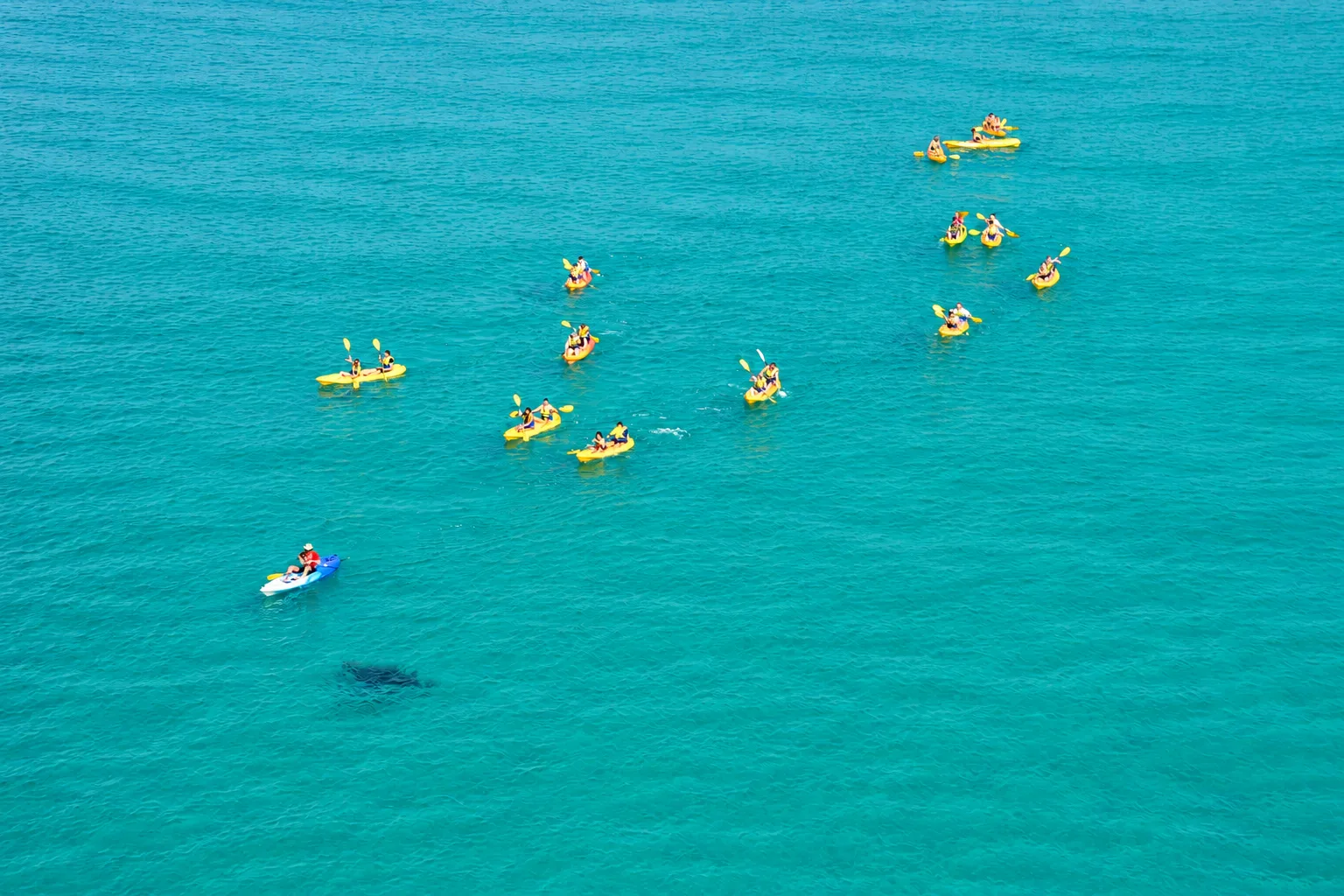 Epic Ocean Adventures — photo 10