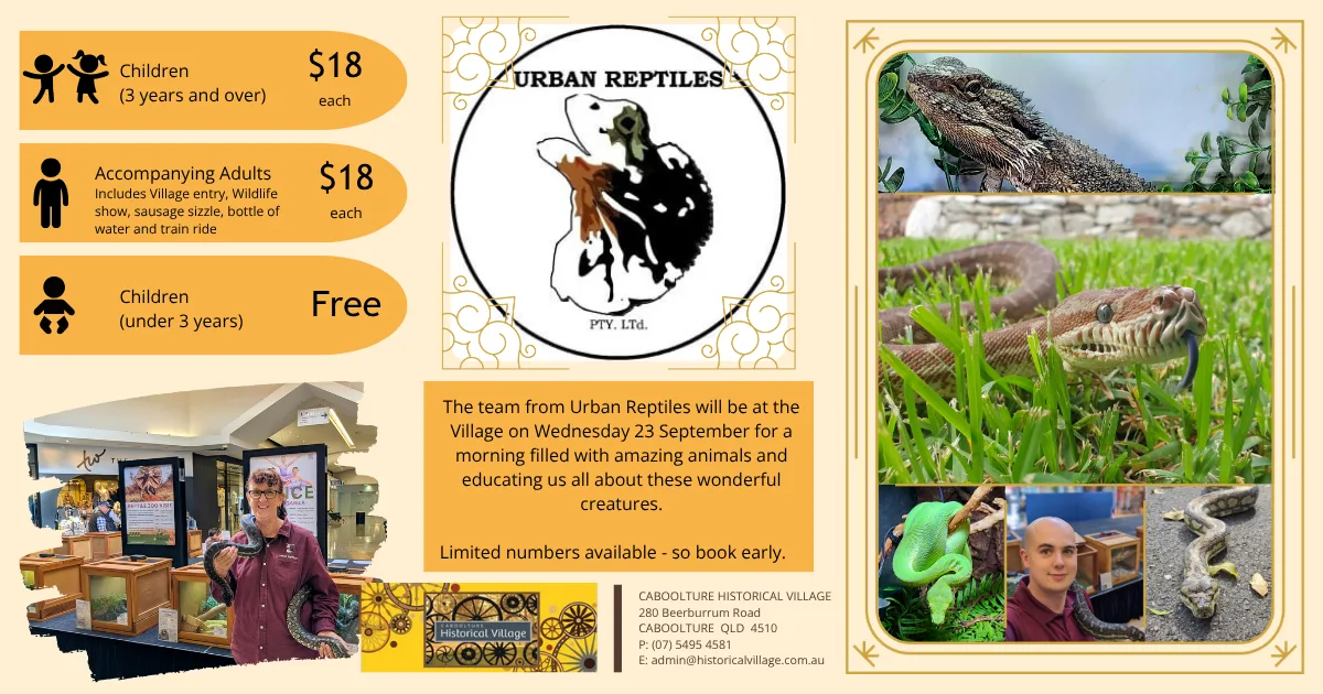Wildlife Show - Kids Activities