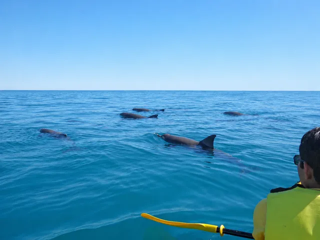 Epic Ocean Adventures — photo 8