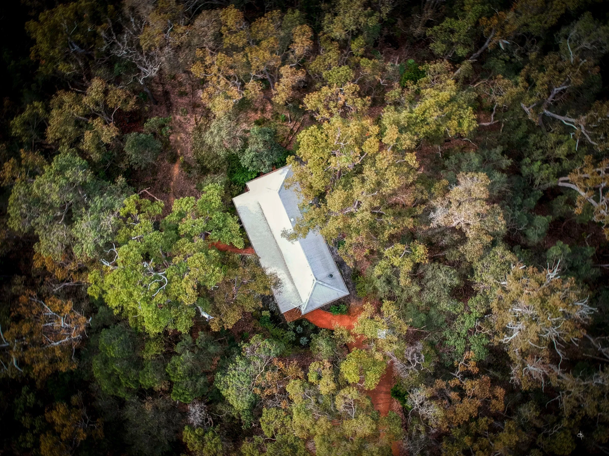 Forest Rise Chalets & Lodge — photo 7