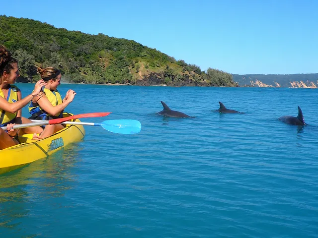 Epic Ocean Adventures — photo 2