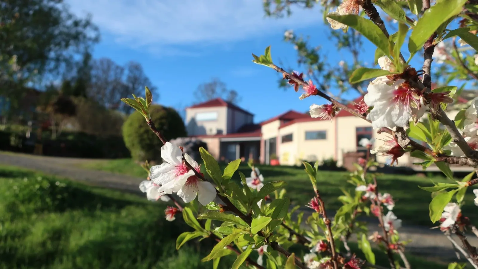 Cherry Top Farmstay ~ Boutique Eco Village