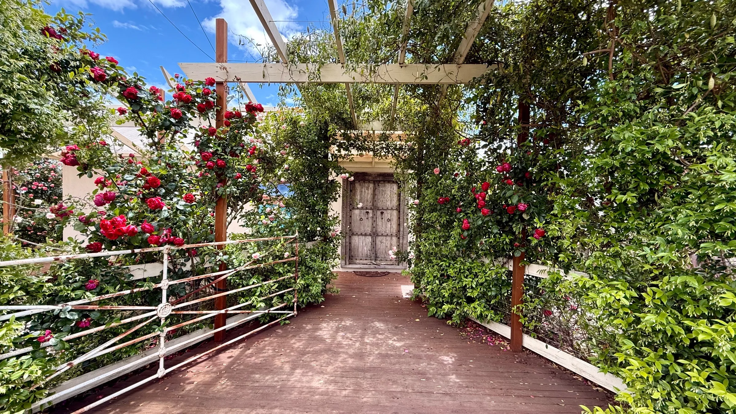 Sellicks Chills Vineyard Retreats - The Elephant Door — photo 2
