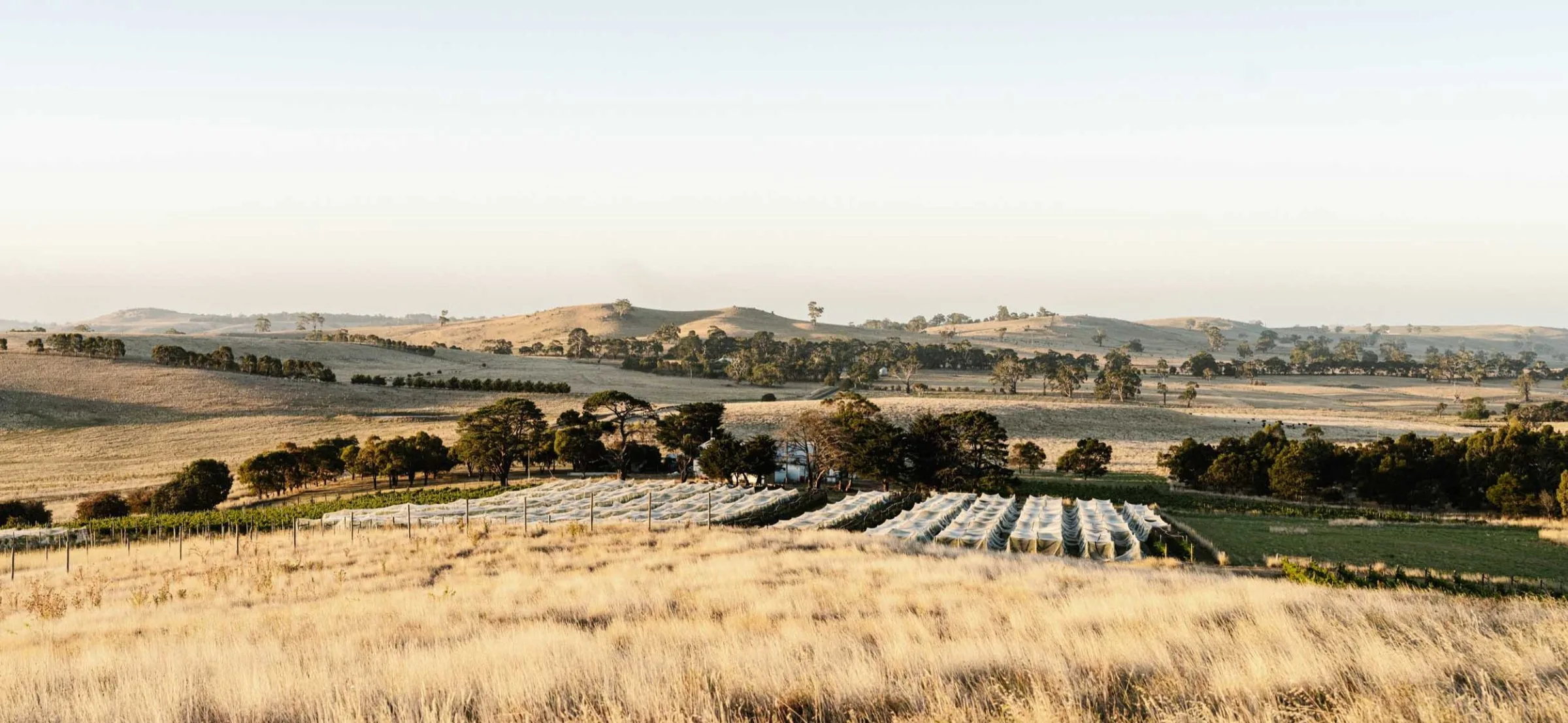 Hunter Gatherer Winery & Cellar Door, Macedon Ranges