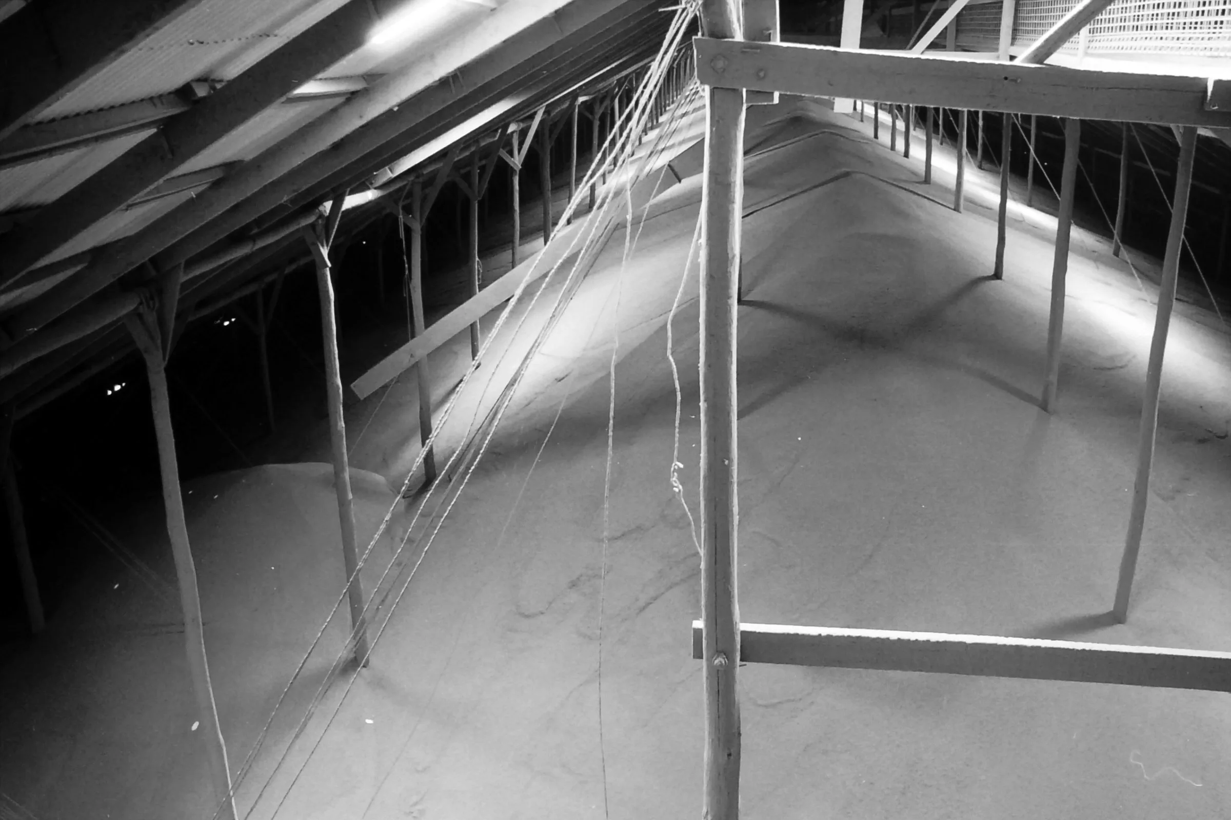 Murtoa Stick Shed — photo 3