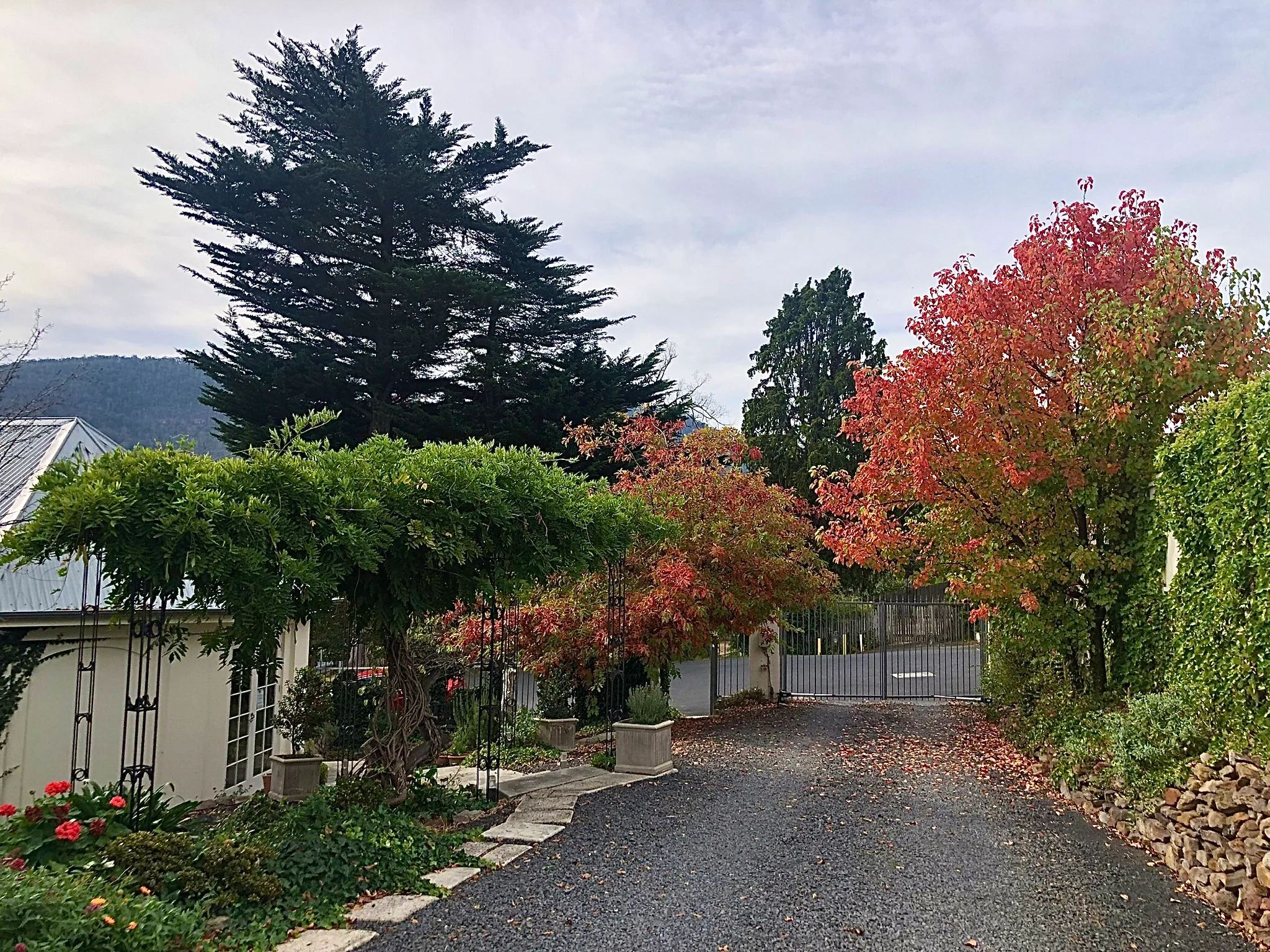 The Woodbridge Tasmania — photo 14